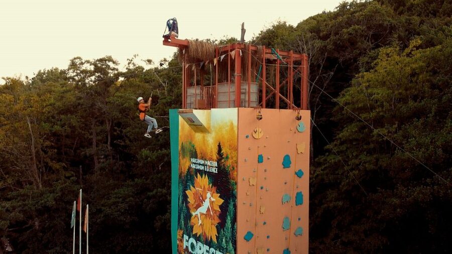 Istanbul: Belgrad Forest ATV Tour with Ziplining Option - Wildlife and Forest Views: The Bonus You Don’t Have to Chase