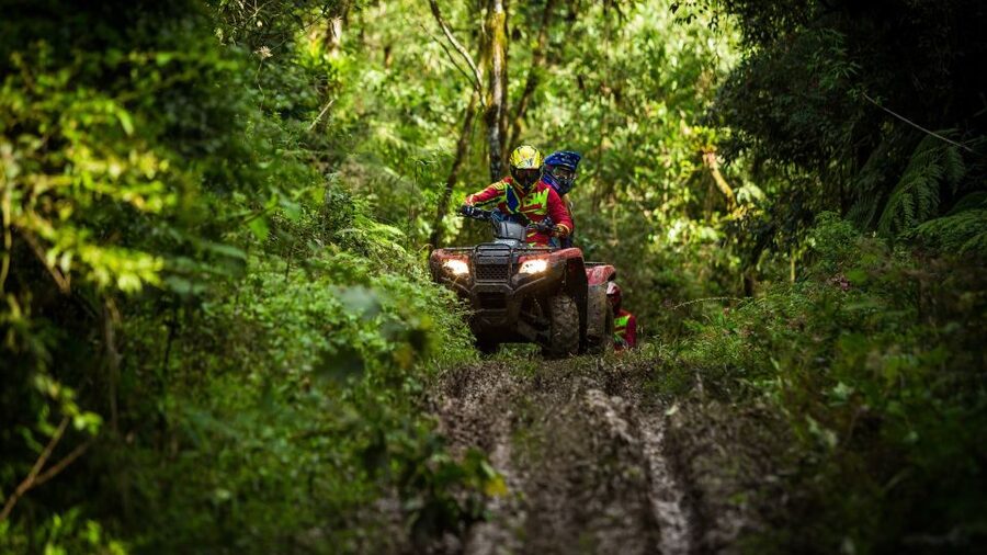 Istanbul: Belgrad Forest ATV Tour with Ziplining Option - The Pickup From Sultanahmet and Taksim, and How to Avoid Waiting Around
