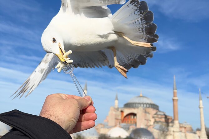 ISTANBUL BEST: Iconic Landmarks Full Day PRIVATE Guided City Tour - Key things I like about this private Istanbul highlights day