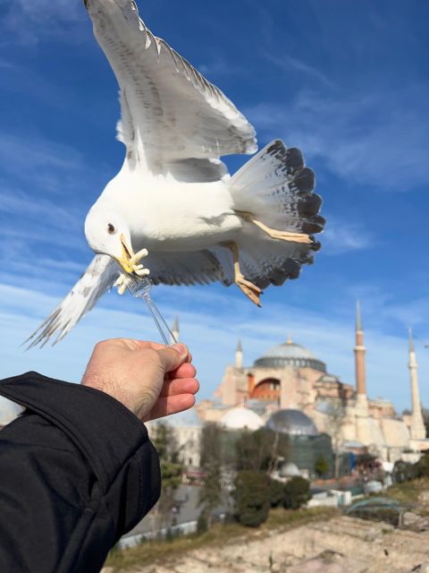 Istanbul: Best of the City Full-Day Tour with Transfers - Transfers and group style, why it changes the whole day