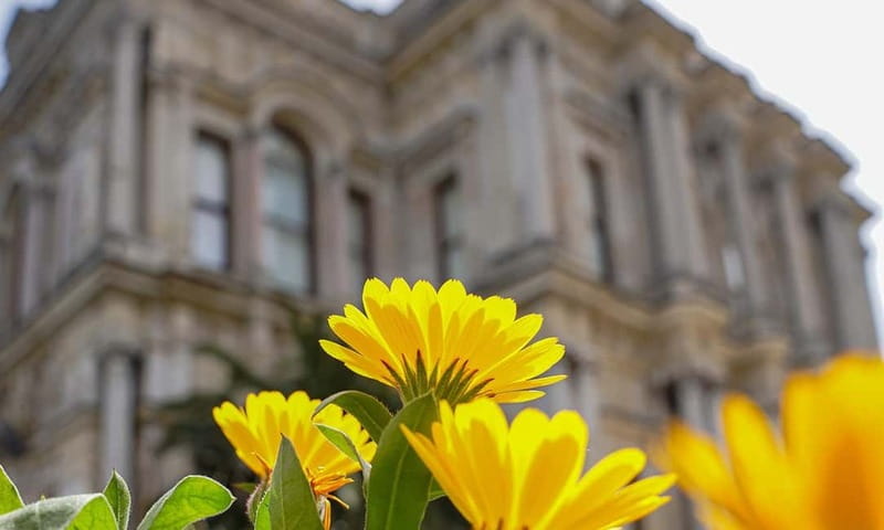 Istanbul: Beylerbeyi Palace Skip-the-Line Ticket & Audio … - Gardens and Bosphorus views: when the outside is the main attraction