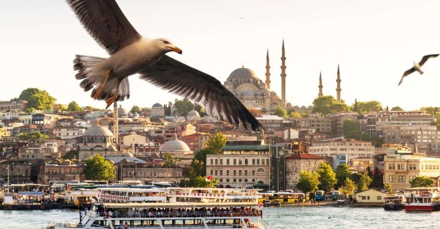 Istanbul: Bosphorus Dinner Cruise with Private Table & Show - The Bosphorus Views You Can Actually Point At