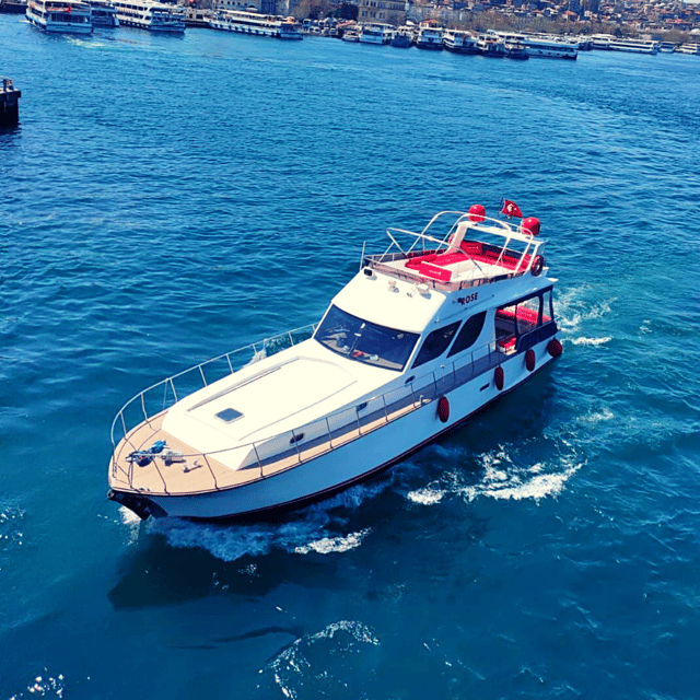 İstanbul: Bosphorus Private Yacht Cruise with Tea and Coffee - Practical Tips You’ll Be Glad You Know