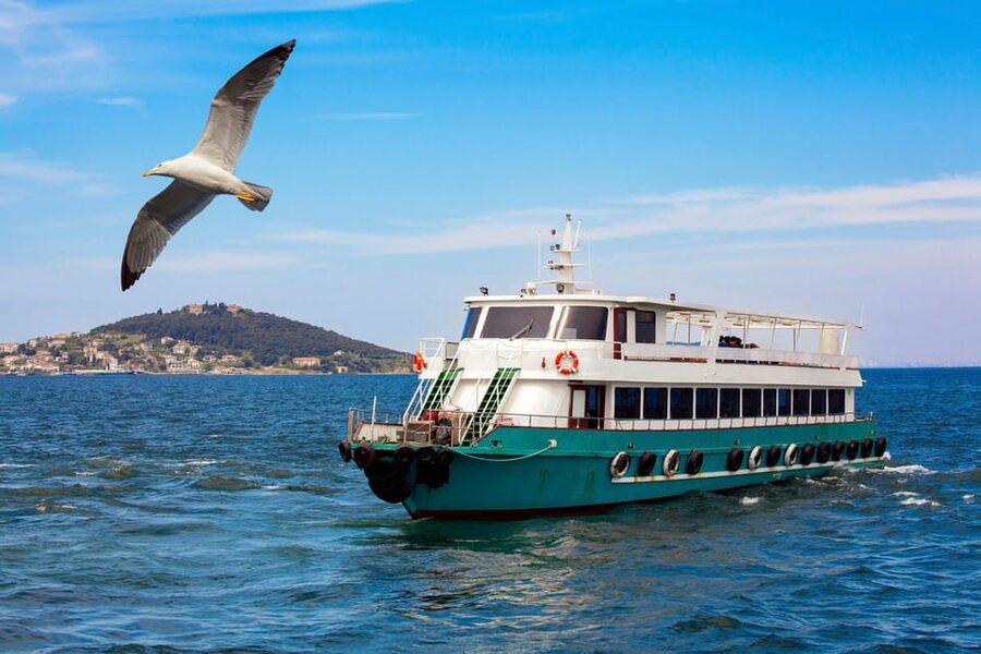 Istanbul: Bosphorus Strait Sightseeing Cruise & Audio Guide - Dolmabahçe Palace to Ortaköy: where the trip starts with style