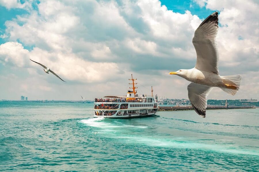Istanbul: Bosphorus Strait Sightseeing Cruise & Audio Guide - Bosphorus Bridge to Rumeli Hisarı: the bridge corridor, plus a fortress lesson
