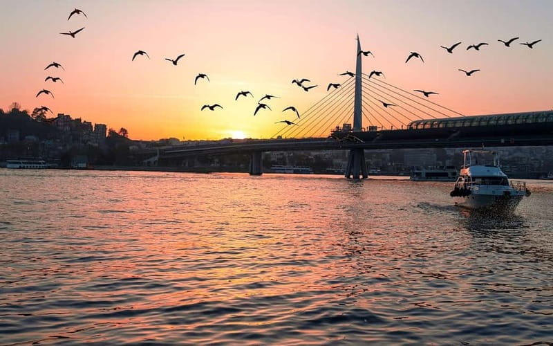 Istanbul: Bosphorus Yacht Cruise with Golden Horn View - Boarding and meeting: Kabatas Square or a Golden Horn start