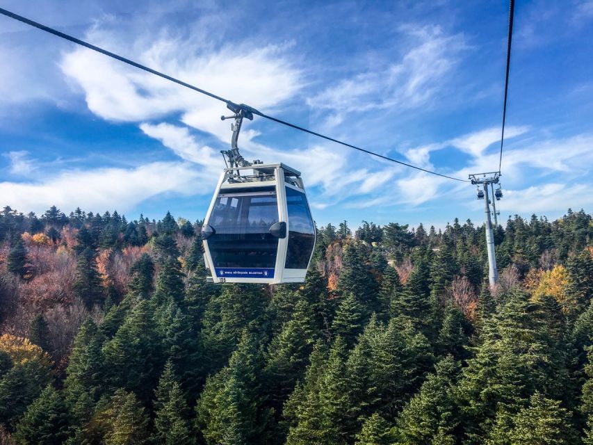 Istanbul: Bursa and Uludag Full-Day Trip with Cable Car Ride - Inkaya Tree: a fast stop with big character