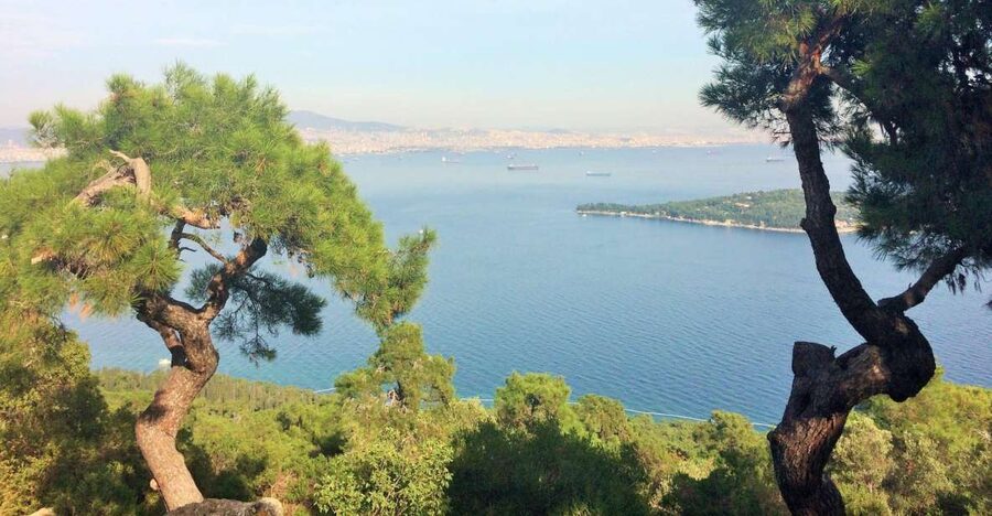 Istanbul: Day Trip to the Princes' Islands - Key things to know before you go