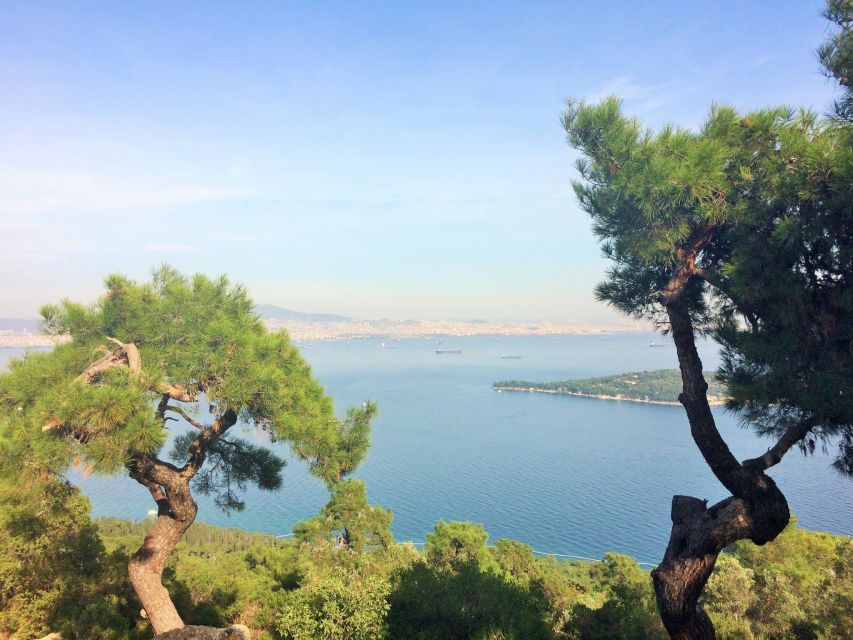 Istanbul: Day Trip to the Princes' Islands - Why the Princes’ Islands feel like a time-out from Istanbul