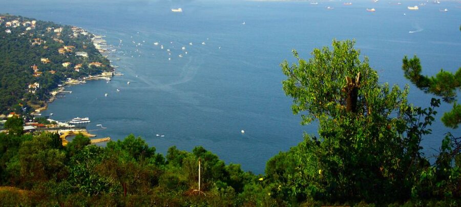 Istanbul: Day Trip to the Princes' Islands - A walking tour around Büyükada’s main square and Victorian houses