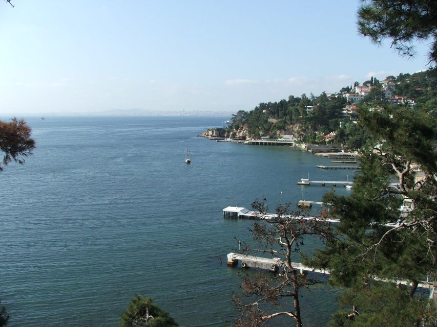Istanbul: Day Trip to the Princes' Islands - Getting to Büyükada: pickup, ferry timing, and packing light