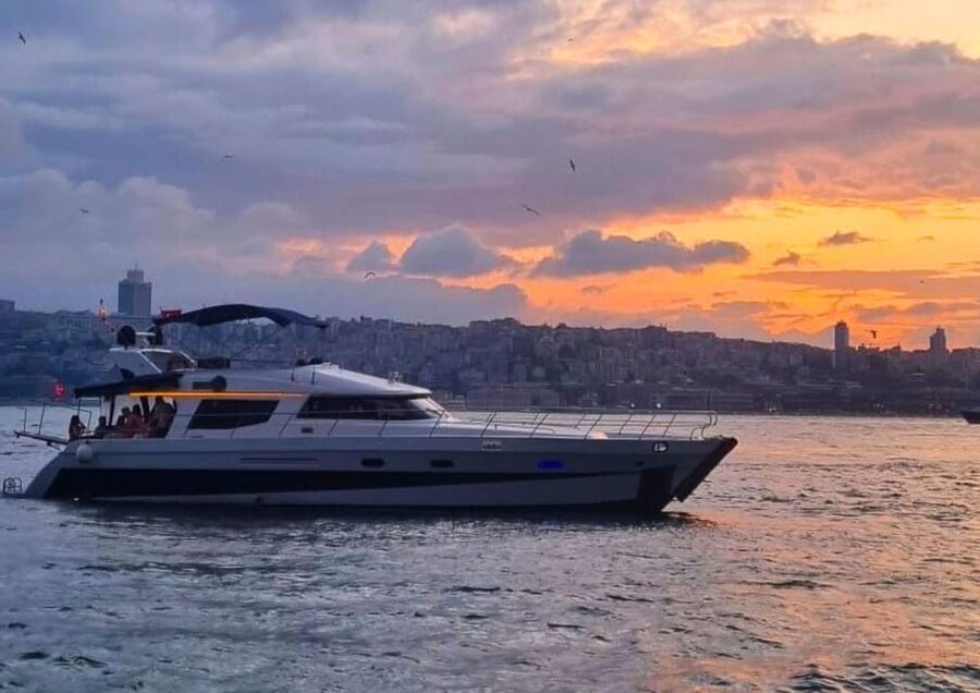 Istanbul: Daytime Bosphorus Yacht Cruise with Fruit & Snacks - Price and value: why $31 can make sense for a Bosphorus cruise
