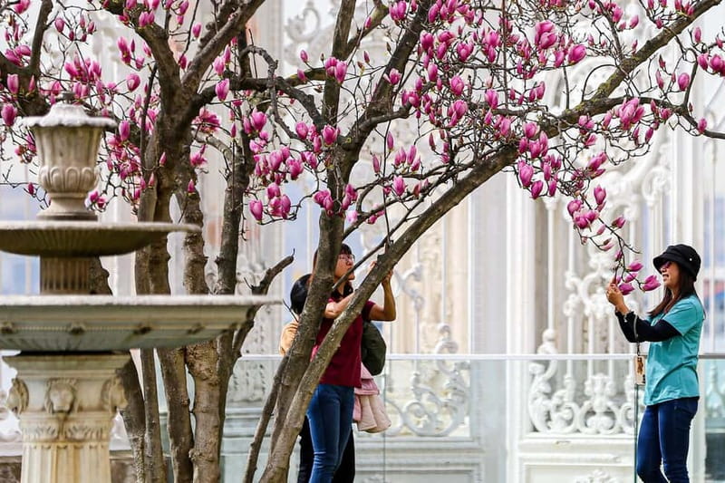 Istanbul: Dolmabahce Palace and Harem Fast-Track & Audio - Dolmabahce Gardens and the Palace Grounds: Your First Real Reward