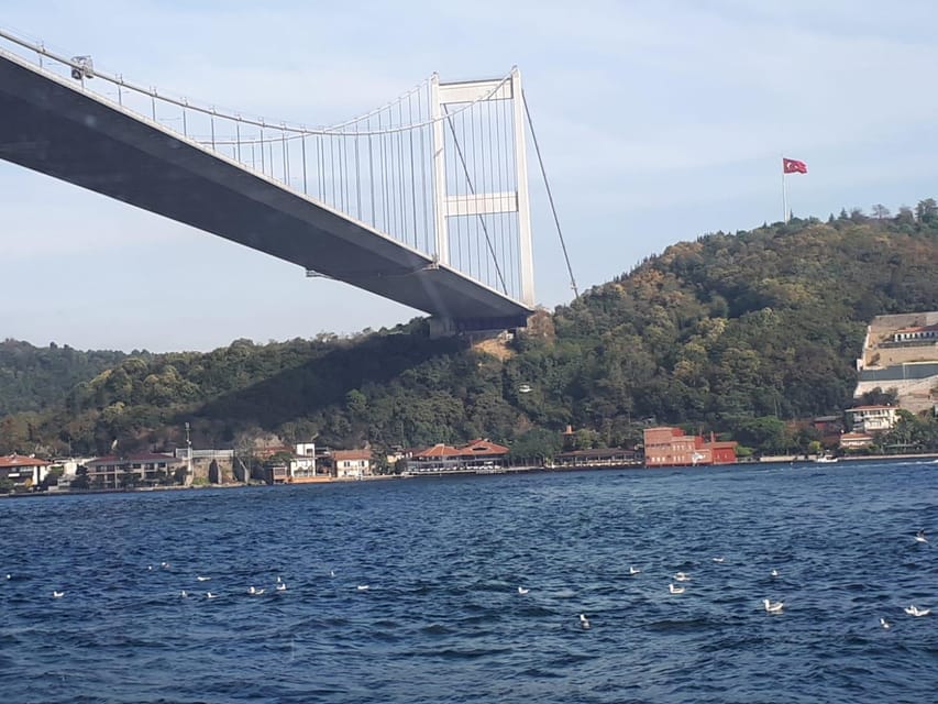 Istanbul: Full-Day City Tour with Bosphorus Cruise and Lunch - A seven-hour sampler of Istanbul across Europe and Asia