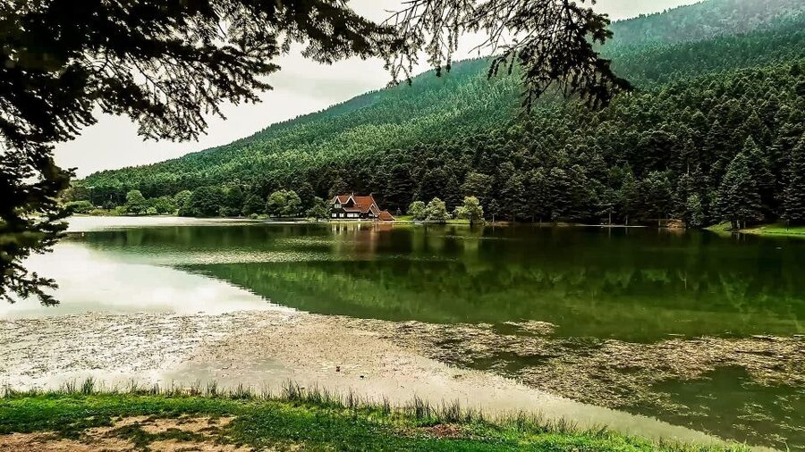 Istanbul: Full-Day Sapanca Lake and Masukiye Tour with Lunch - A countryside reset just 120 km from Istanbul