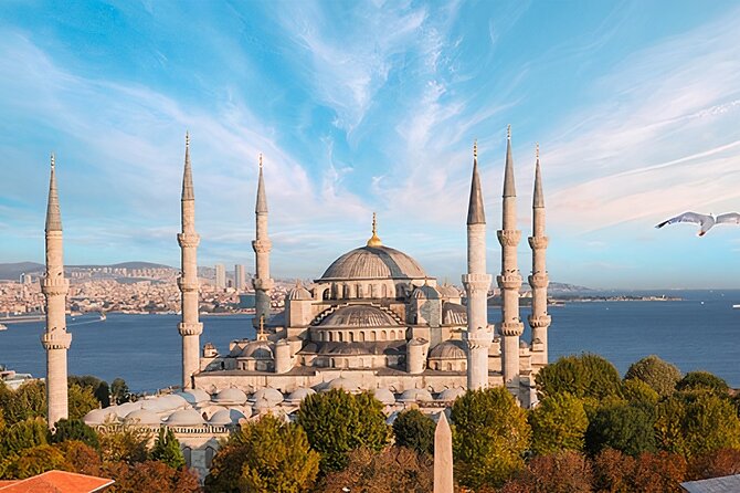 Istanbul Highlights: Small-Group Tour with a Local Expert - Hagia Sophia Grand Mosque: Tickets for the Tourist Section