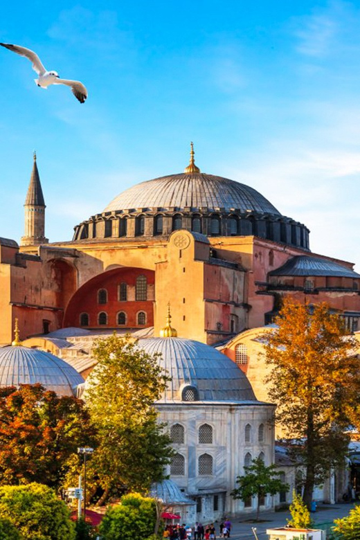 Istanbul: Old City Full-Day Tour -(Entry Fees Inculucing) - Blue Mosque: Iznik tiles up close and the Istanbul icon factor