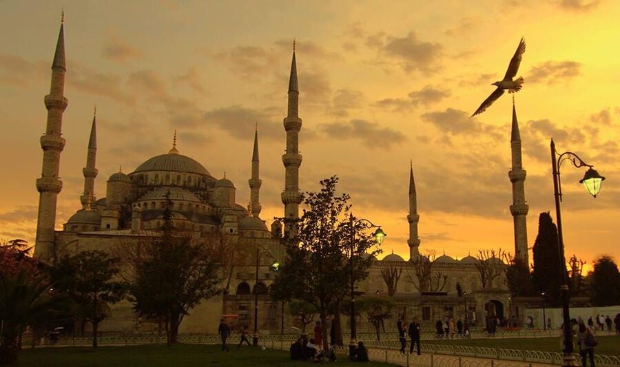Istanbul: Old City Full-Day Tour -(Entry Fees Inculucing) - Lunch and time management: included meal, but plan for drinks