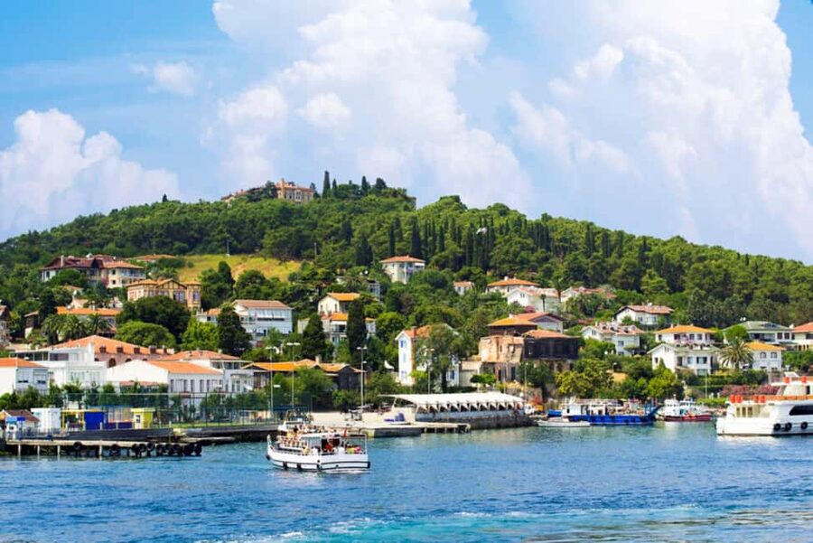 Istanbul Prince Island Cruise with Lunch & Free Time - Lunch on Board: Good Value, Extra Drinks, and How to Plan Your Appetite
