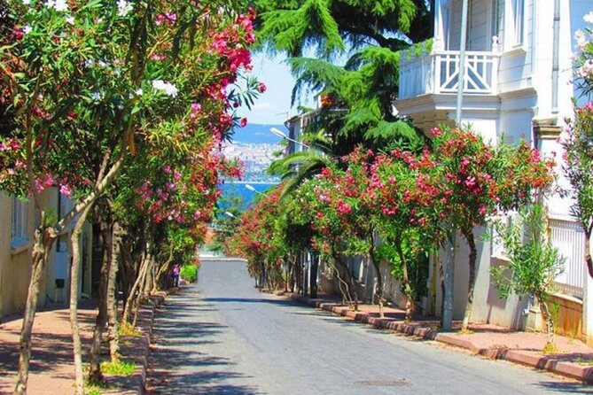 Istanbul: Princes Islands Tour with Heybeliada and Buyukada - Sea of Marmara views plus onboard guidance