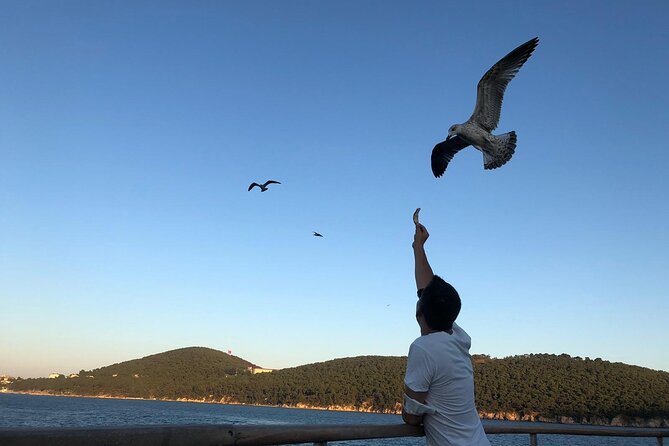 Istanbul: Princes Islands Tour with Heybeliada and Buyukada - Swimming reality check: summer-only and possible beach fees