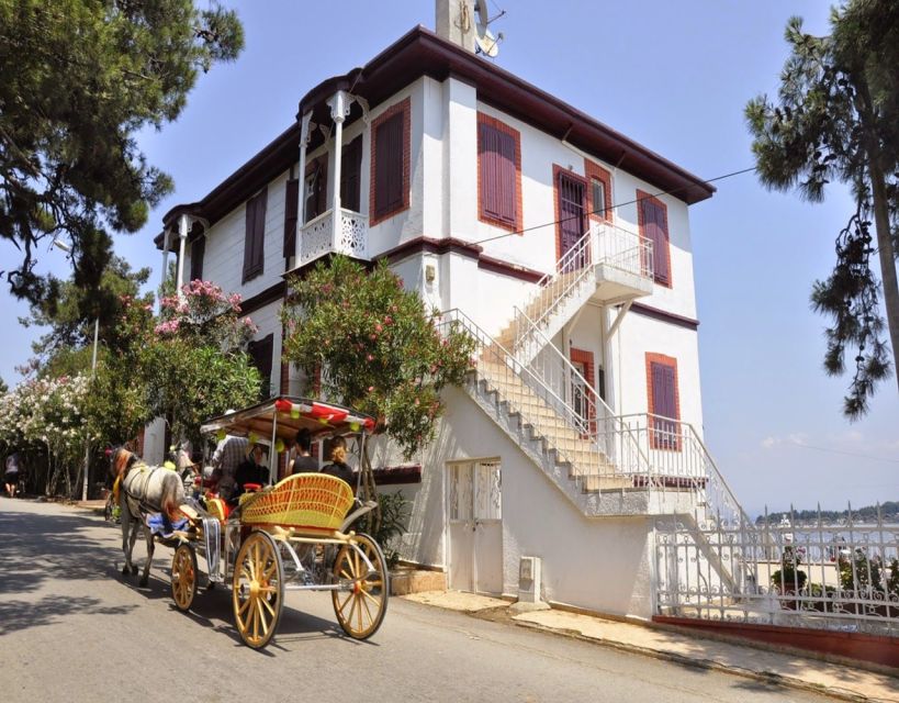 Istanbul: Princes' Islands Tour with Lunch and Transfers - Lunch on the sea: what’s included and what to expect