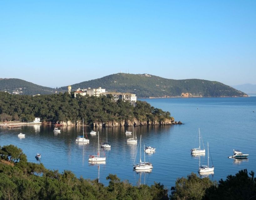 Istanbul: Princes' Islands Tour with Lunch and Transfers - The ride onward: from lunch to your second island stop