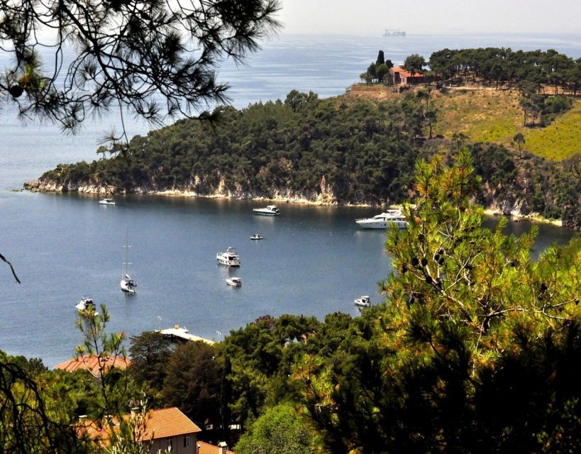 Istanbul: Princes' Islands Tour with Lunch and Transfers - Return to Istanbul: 30 minutes for shopping and the leather show stop