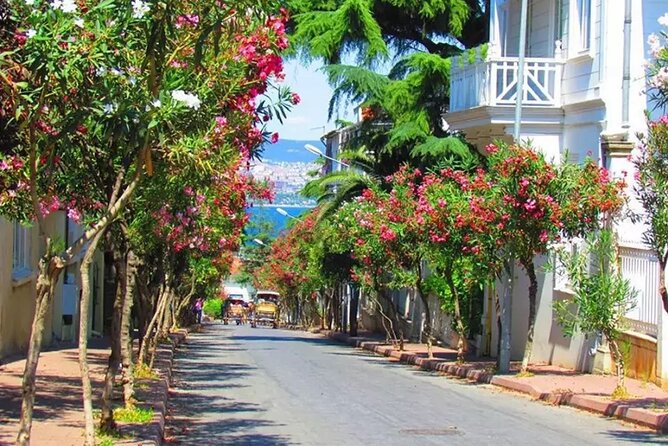 Istanbul Princess Island Tour Include Lunch and Island Car Trip - Key highlights you should know before you go