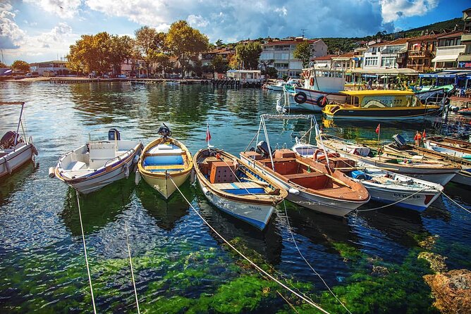 Istanbul Princess Island Tour Include Lunch and Island Car Trip - Büyükada Tabiat Parkı and the optional electric car shortcut