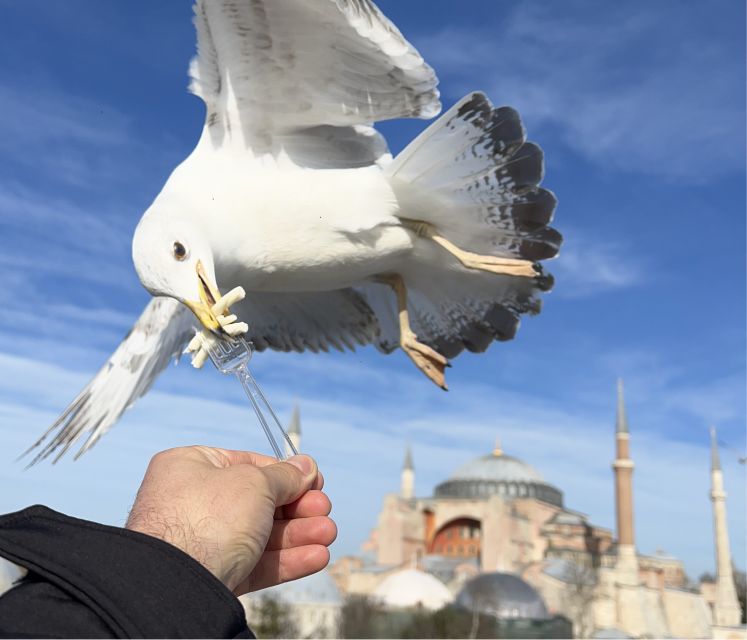 Istanbul: Private City Tour with Transportation - Topkapi Palace and the Grand Bazaar finale