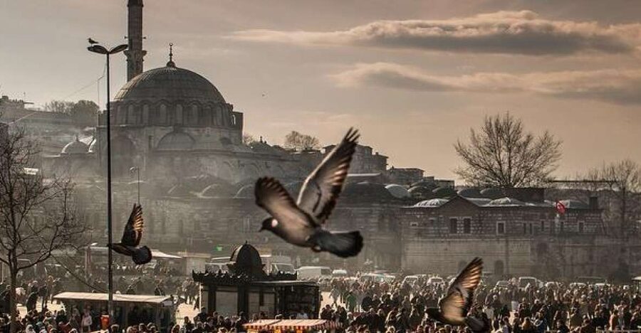 Istanbul: Private Full-Day Old City Highlights Tour - Price and logistics for a 7-hour Old City circuit