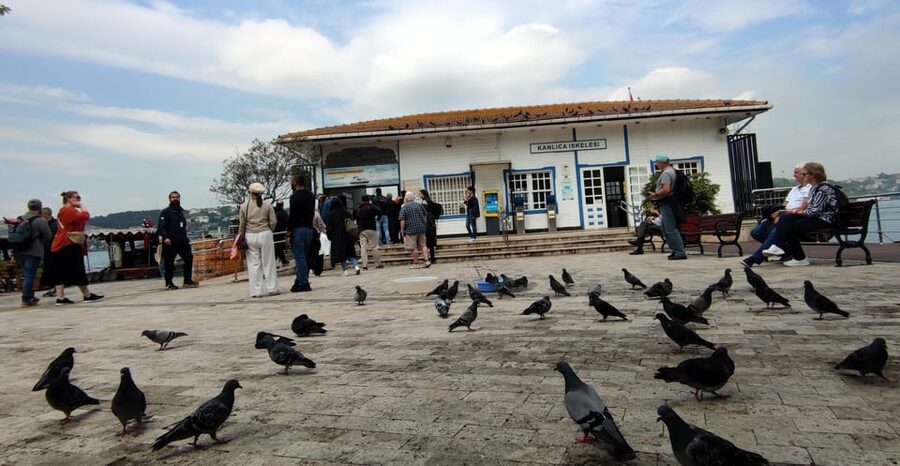 Istanbul Revealed: Historic Pathways and Bosphorus Serenity - Price and value: is $103 a good deal for this mix?