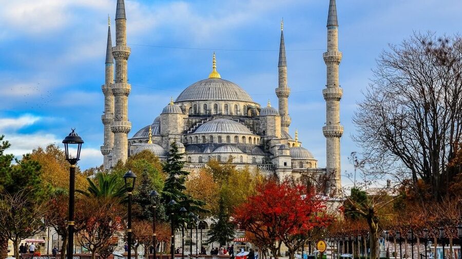 Istanbul: Short Guided Walking Tour of Old City Istanbul - Express Security and a Live Guide: The Practical Advantage