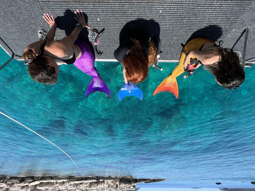 Kas: Scuba Diving Experience - What you can do underwater: fish feeding, octopus spotting, and reef life
