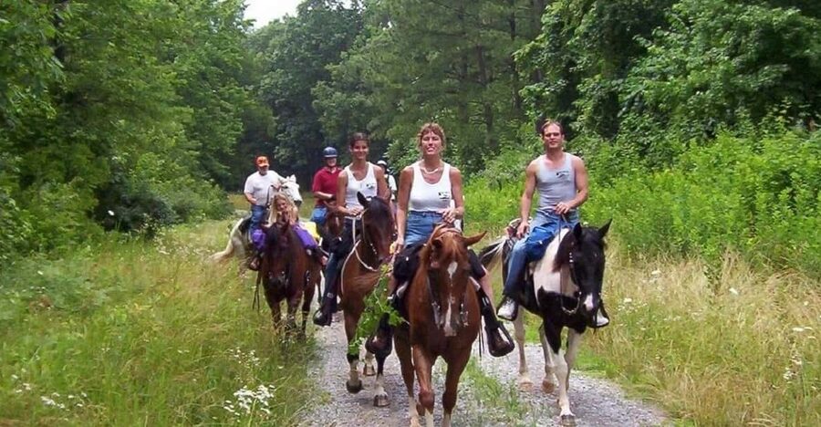 Kemer Horse Safari, pick up from Kiris, Beldibi, Goynuk - What to Bring, What Not to Do, and Who Should Skip It