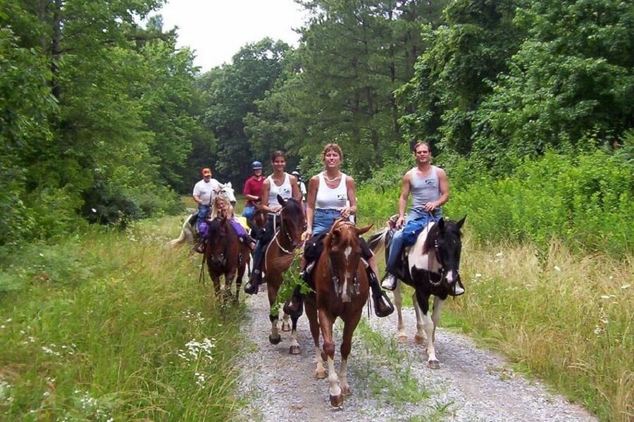 Kemer Horse Safari, pick up from Kiris, Beldibi, Goynuk - Should You Book Kemer Horse Safari?