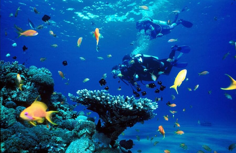 Kemer Scuba Diving with Expert Diving Option - Instruction quality: Why this tour tends to feel safe and smooth