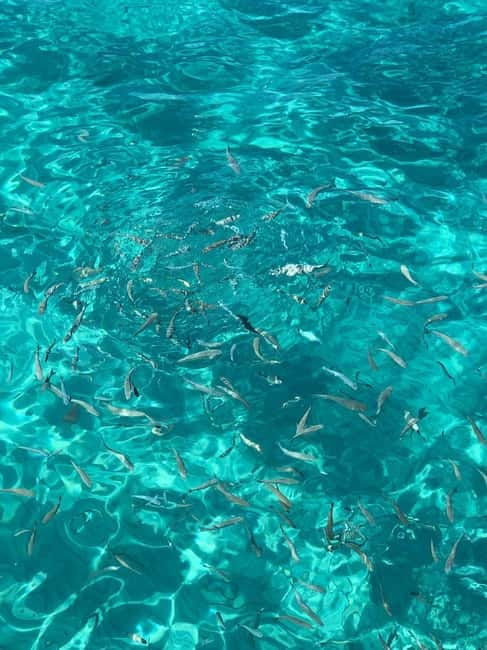 Kusadasi: Aegean Sea Boat Tour with Lunch - Hotel Pickup Windows, Pickup Zones, And The One Thing To Watch