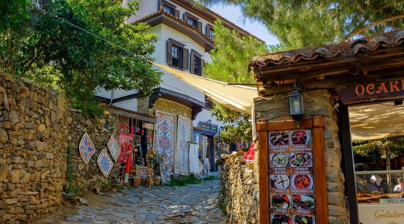 Kusadasi: Ephesus & House of Mary Small Group Tour w/Lunch - Ephesus Archaeological Museum Pass-By: A Quick Reality Check