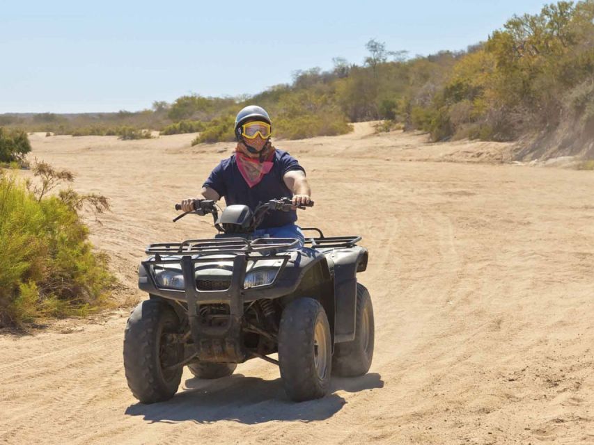 Kusadasi: Guided Quad Biking Tour - Key highlights that matter on this Kusadasi quad tour