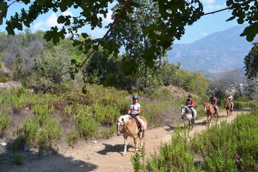 Kusadasi: Horse Riding Beach and Forest w/Transfer - Key Highlights I’d Prioritize