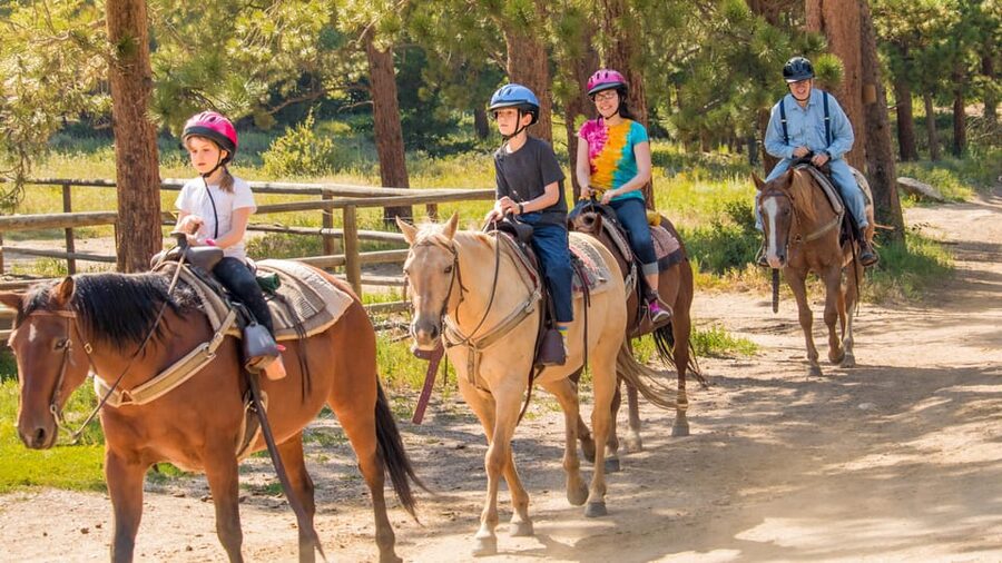 Kusadasi: Horse Riding Beach and Forest w/Transfer - Getting From Kusadasi to the Ranch, Without Losing Time