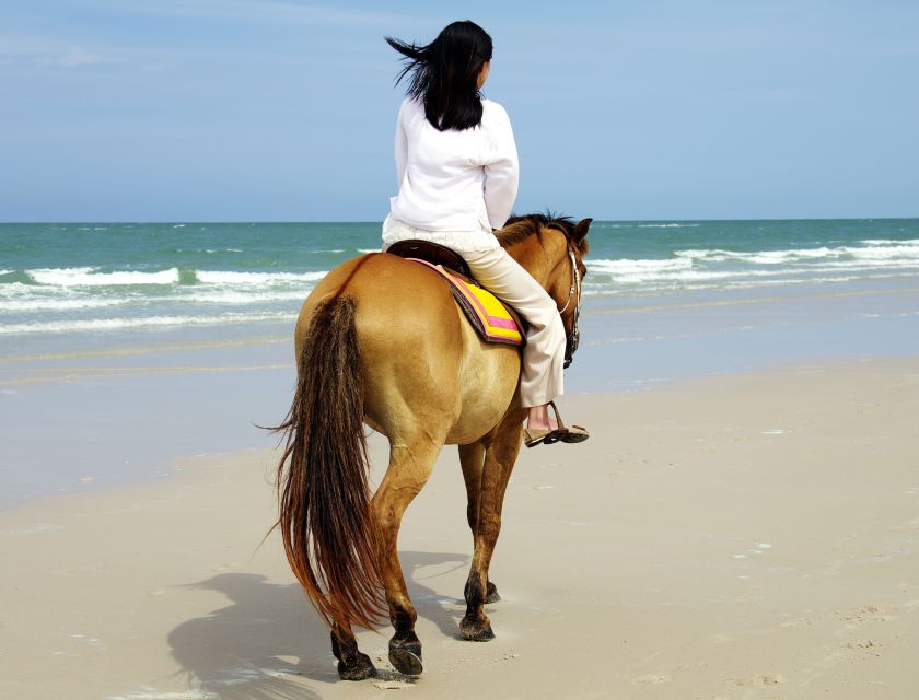 Kusadasi: Horse Riding Beach and Forest w/Transfer - The Pine Forest and Orange Grove Ride: The Best Part If You Want Nature Time
