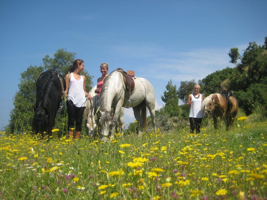 Kusadasi: Horse Riding Beach and Forest w/Transfer - Price and Value: What Your $65 Covers, and What You Might Add