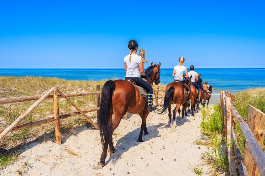 Kusadasi: Horse Riding Beach and Forest w/Transfer - Who Should Book This Horse Riding Beach and Forest Tour