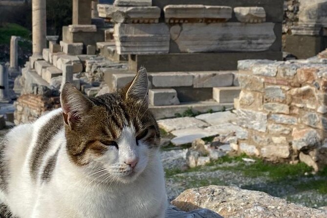 LESS Walking Tour : Private Ephesus, House of Virgin Mary, Temple - House of the Virgin Mary: Pilgrimage History, Mountain Views, and Quiet Time