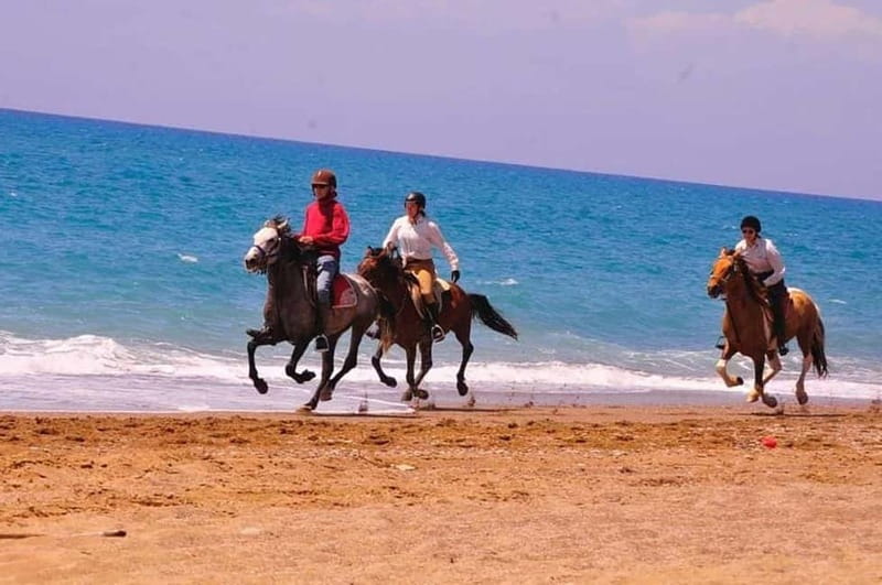Manavgat Side: Horse Riding on the Beach and in the Forest - Entering the Side-to-Beach Route: Forest Trails and Horse Run Time