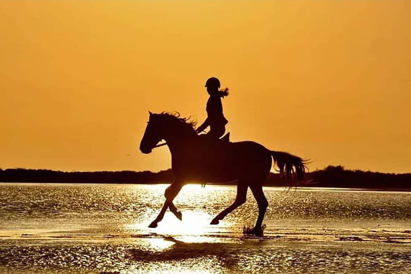 Manavgat Side: Horse Riding on the Beach and in the Forest - Briefing, Helmet, and First-Ride Confidence