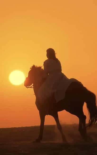 Manavgat Side: Horse Riding on the Beach and in the Forest - The Forest Ride Through Pine Country: Calm Views and a River Break